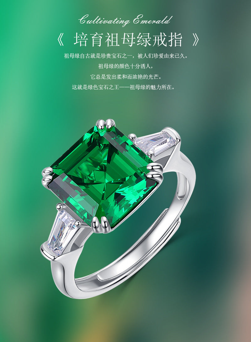 Simple Cultivation Red Treasure Ring - 925 Silver Fashionable - Popular Women's Ring
